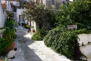 Read more about the article Anafiotika: An island in the heart of Athens